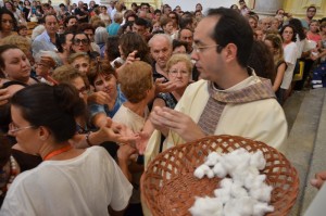 Distribuzione bambagia Sant'Alberto Gigante