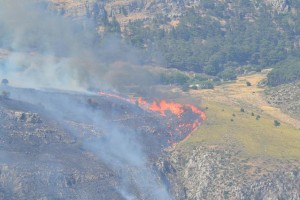 incendio-erice-2015-ok