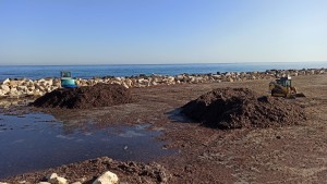 pulizia litorali (3)