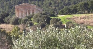 Il Parco archeologico di Segesta produce il primo olio e.v.o. L’Assessore Samonà“: La cura del paesaggio è coessenziale alla valorizzazione del patrimonio storico-archeologico”