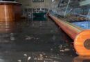 Alluvione Trapani, la Giunta Regionale ha deliberato la richiesta di stato di emergenza nazionale. Tranchida: «Meglio tardi che mai, adesso attendiamo i ristori»
