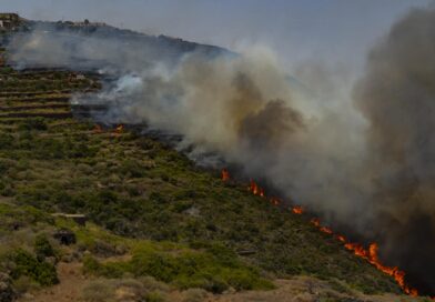 Misure antincendio, Pantelleria: divieti e obblighi da rispettare a tutela del territorio