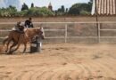 L’equitazione western performance a San Vito Lo Capo nei giorni 27 e 28 aprile nell’evento A TUTTO SPORT